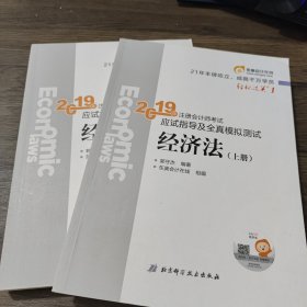 注会会计职称2019教材辅导东奥2019年轻松过关一《2019年注册会计师考试应试指导及全真模拟测试》经济法（上下册）