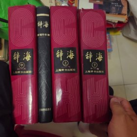 辞海 上中下