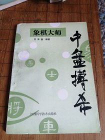 象棋大师中盘搏杀