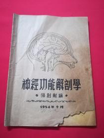 神经功能解剖学