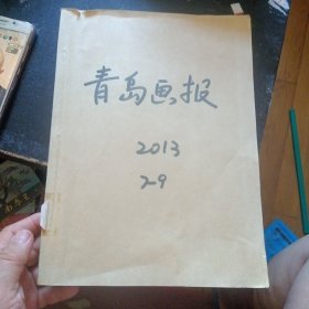 《青岛画报 》(2013年 7,8,9月合订本)(包邮)
