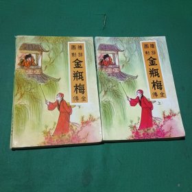 绘图评点金瓶梅全传（上下册）