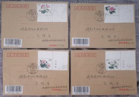木芙蓉票名首日原地实寄封 成都市花是芙蓉花 成都芙蓉花风景戳