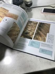 1984年COLOR ATLAS OF HUMAN ANATOMY 人体解剖彩色图集，伦敦大学解剖学教授联合主编，大16开357页精装