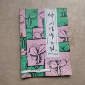 神州佳作大观