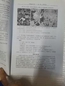 立思辰  大语文 思晨创意写作 一阶（春季）教师用书