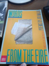words from the fire:poems by jidi majia