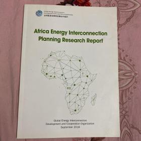 Africa Energy Interconnection Planning Research Report