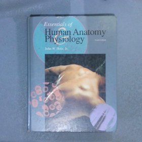 ESSENTIALS OF  HUMAN  ANATOMY  PHYSIOLOGY 人体解剖生理学概论