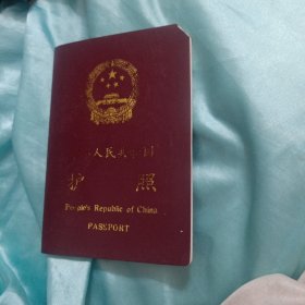 护照5