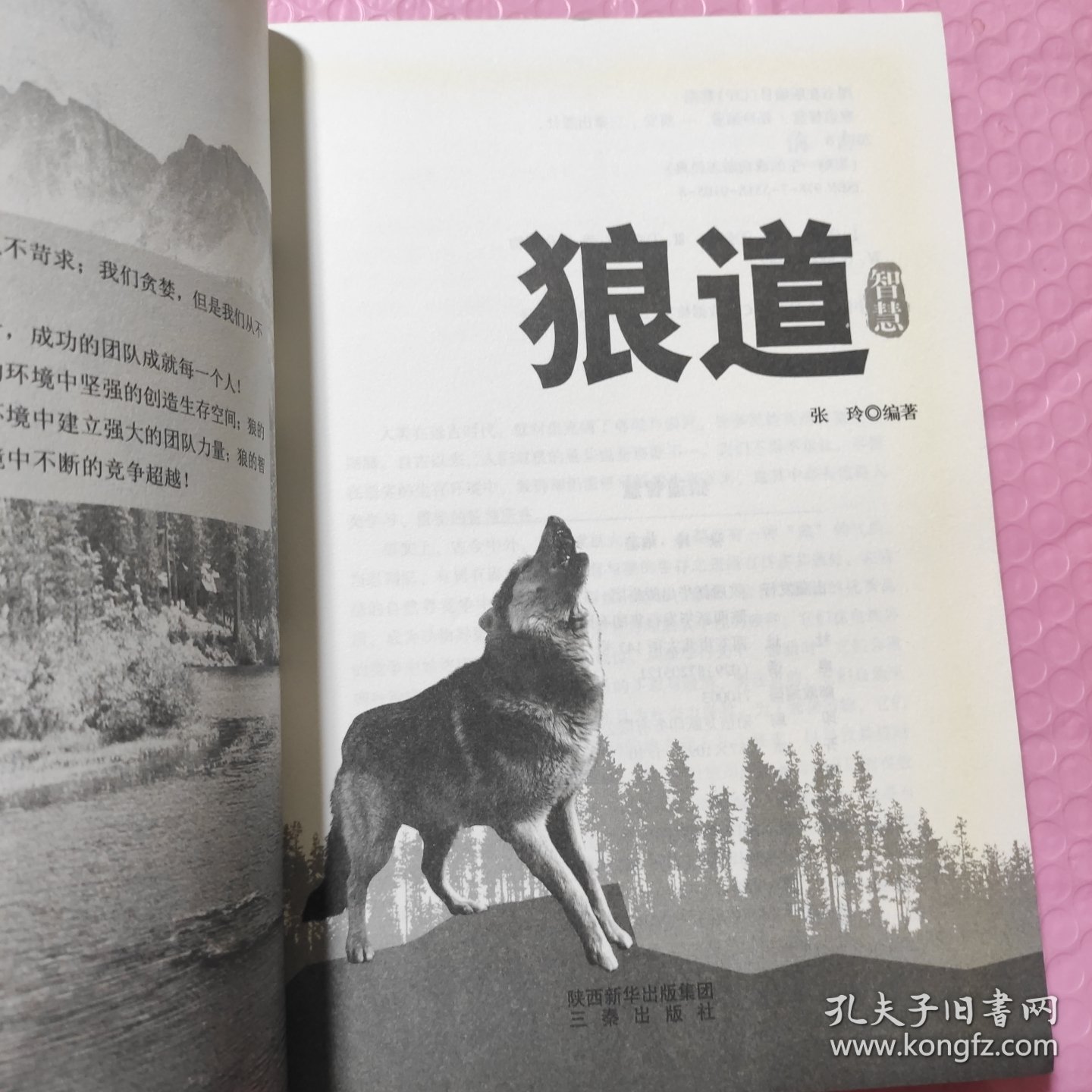 狼道智慧