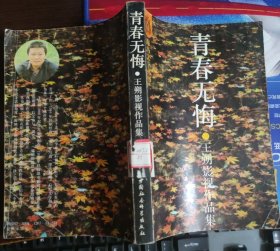 青春无悔 王朔影视作品集