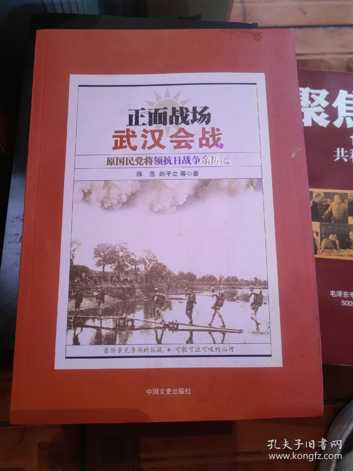 正面战场·武汉会战：原国民党将领抗日战争亲历记