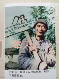 1950年，农民分到了田地