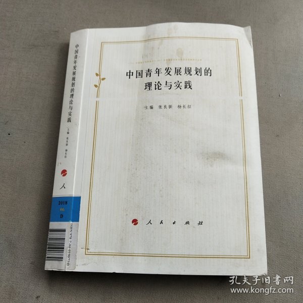 中国青年发展规划的理论与实践