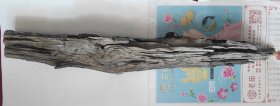 天然雷击木，榆木，长100cm宽12cm厚7cm