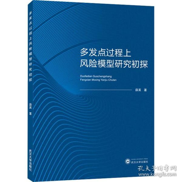 多发点过程上风险模型研究初探