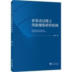 多发点过程上风险模型研究初探