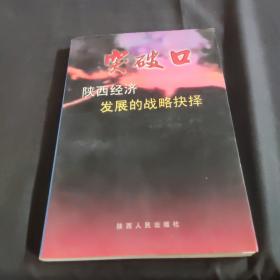突破口:陕西经济发展的战略抉择