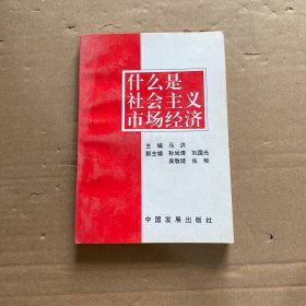 什么是社会主义市场经济