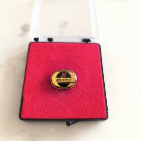 中国东北电力总公司徽章