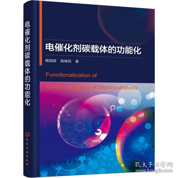 电催化剂碳载体的功能化 能源科学 杨丽丽,陈维民 新华正版