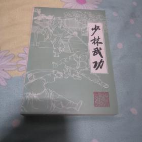 少林武功（此书介绍了少林武功的历史源流和基本内容，并着重介绍了南、北少林的各种武术套路，包括拳法和刀、枪、剑、棍器械术，功夫和养生术等。全书30多万字，近2000幅武术套路插图）