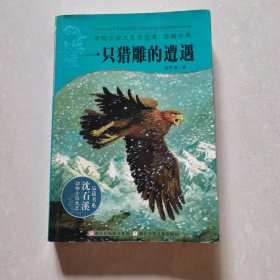 动物小说大王沈石溪·品藏书系·一只猎雕的遭遇