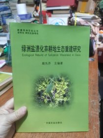 綠洲鹽漬化棄耕地生態(tài)重建研究