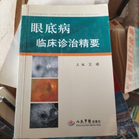 眼底病临床诊治精要（大本32开）