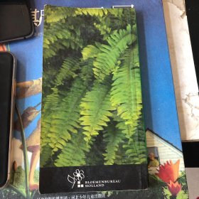 外文原版：荷兰花卉