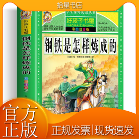 钢铁是怎样炼成的/新课标学生课外必读丛书