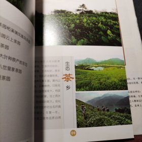 2015第3届中国 .安化黑茶文化节 天下黑茶神韵安化