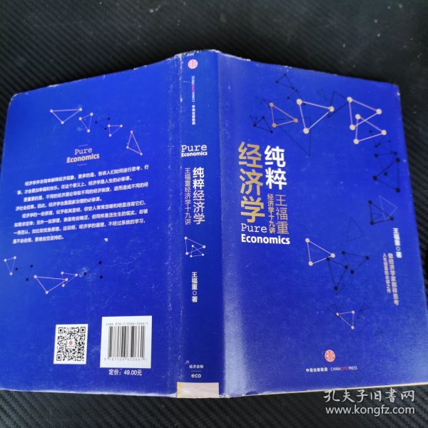 纯粹经济学：王福重经济学十九讲