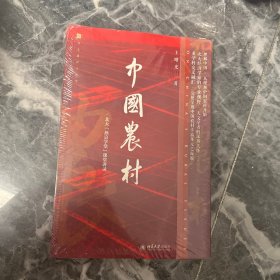 中国农村：北大“燕京学堂”课堂讲录