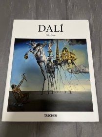 Dali 达利画册