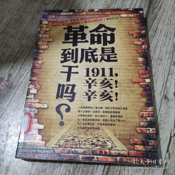 革命到底是干吗？：1911，辛亥！辛亥！