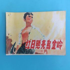 連環(huán)畫 紅日照亮烏金嶺【打孔書】
