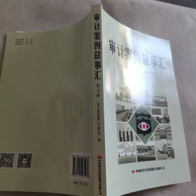 审计案例故事汇第四辑