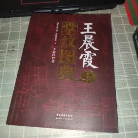 王晨霞掌纹图典