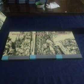 南京的陷落 一 二 三 32开 精装 3册