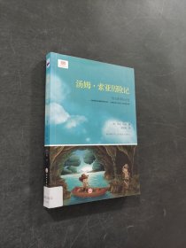 汤姆·索亚历险记