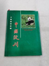 中国汶川大熊猫的故乡