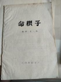电影镜头记录本命根子
