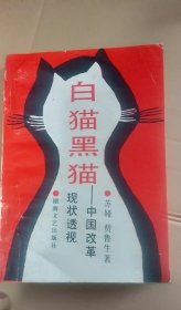 白猫黑猫——中国改革现状透视