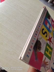 My First Dictionary (DK) 我的第一本词典