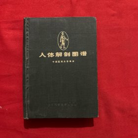 《人体解剖图谱》中国医科大学编绘