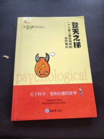 登天之梯：一个儿童心理咨询师的诊疗笔记