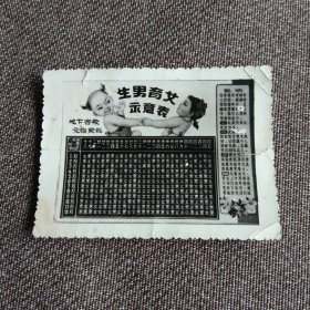 生男育女示意表 老照片