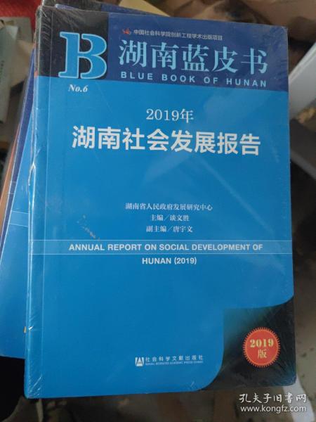 湖南蓝皮书：2019年湖南社会发展报告